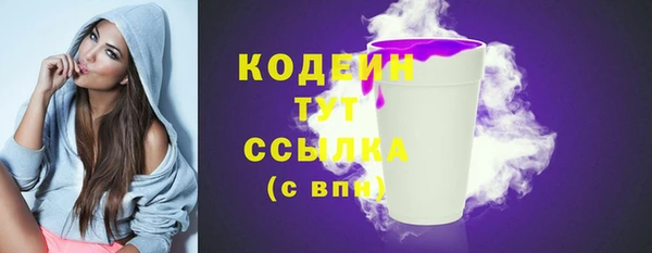 дживик Абаза