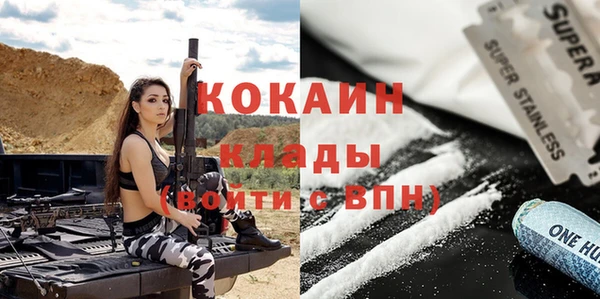дживик Абаза