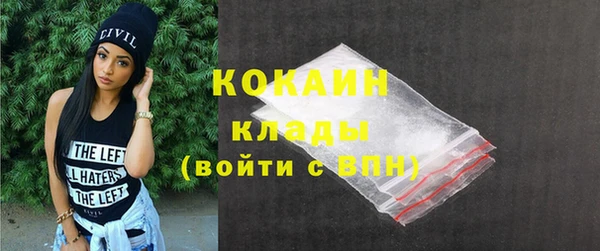 дживик Абаза