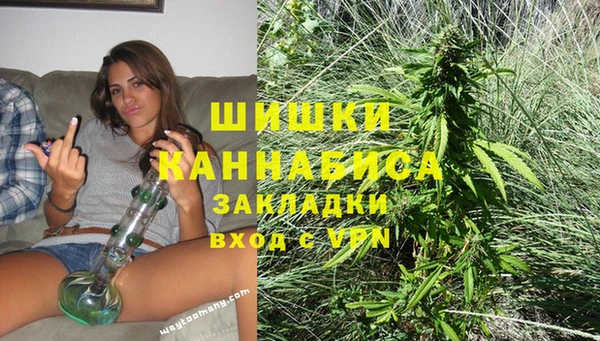 дживик Абаза