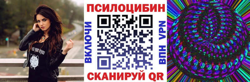 Псилоцибиновые грибы Magic Shrooms  купить  цена  hydra онион  Нестеровская 